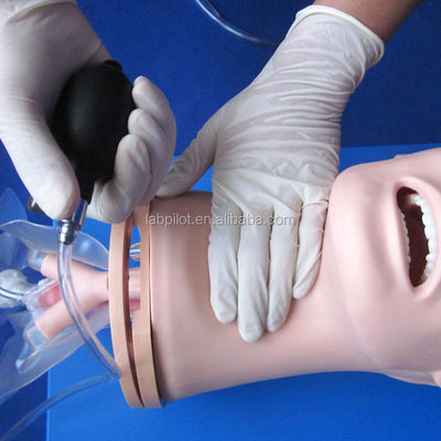 Erweitertes PVC-Atemwegsmanagementmodell für Intubations- und Saugschulungen im Gesundheitswesen