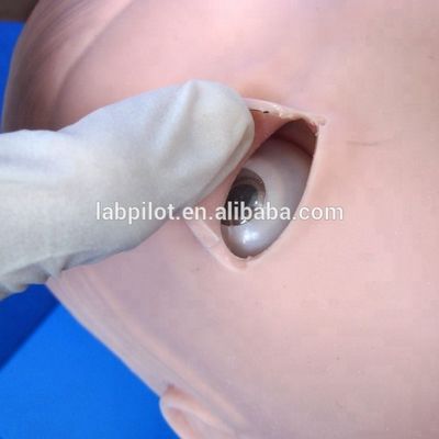 Erweitertes PVC-Atemwegsmanagementmodell für Intubations- und Saugschulungen im Gesundheitswesen