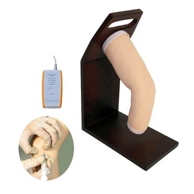 Erweiterter PVC-Gelenk-Intra-Gelenk-Injektions-Training-Simulator für das menschliche Ellenbogenmodell