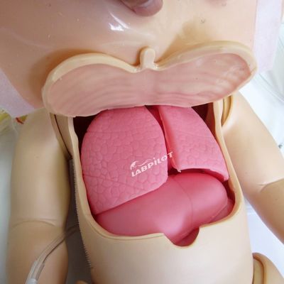 Erweiterte PVC-Manikine für die voll funktionsfähige pädiatrische HLW- und Säuglingspflege-Simulation