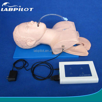 Erwachsene Schaukel Elektronischer Tracheal-Intubations-Simulator mit Zahndruck-Alarm