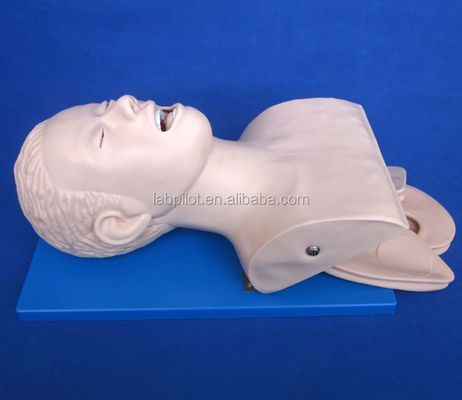 Erwachsene Schaukel Elektronischer Tracheal-Intubations-Simulator mit Zahndruck-Alarm