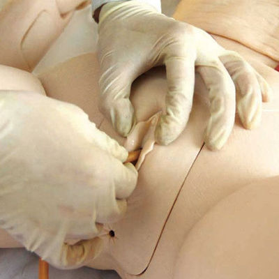 Männliche ältere Krankenschwester Dummy für Medizinische Hochschulen Katheterisierung Funktion Training Auch