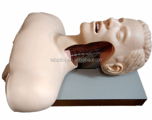 Elektronische Warnung Oral- und Nasenintubations-Trainer für Notfallschulungen