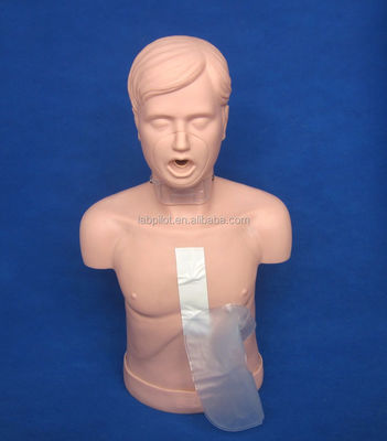 Erwachsene CPR-Training-Mannequin mit erweiterten Atemwegsöffnung und Heimlich-Manöver-Simulation