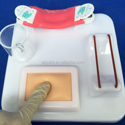 Patientenbetreuung Demonstration menschliche Lebensgröße Darm Anastomose und Naht Praxis Pad