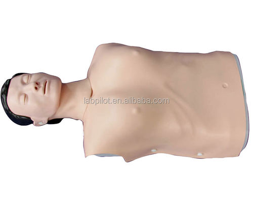 Realistische menschliche Simulation Notfall-Fähigkeiten Training Mannequin Männlicher Halbkörper CPR-Dummy