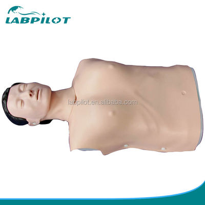 Realistische menschliche Simulation Notfall-Fähigkeiten Training Mannequin Männlicher Halbkörper CPR-Dummy