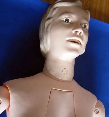Innere Organe Krankenpflege Ausbildung Schaukel für menschliche Lebensgröße Patienten Versorgung Demonstration