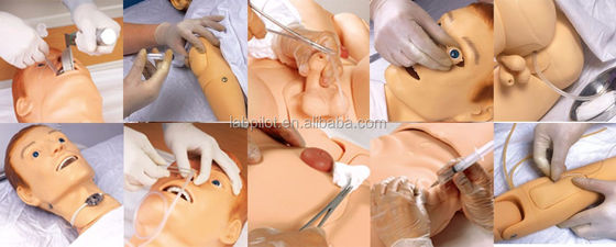 Vollkörper-Mannequin für das Gesundheitszentrum Medizinische Krankenpflege Ausbildung Dummy Praxis Simulation