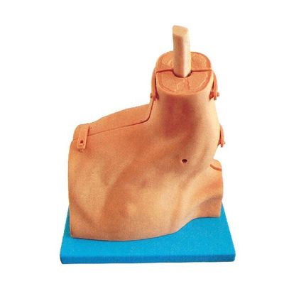 Medizinische Prüfung Training Simulator für Schulter Arthroskopie Krankenhäuser 'Top-Wahl