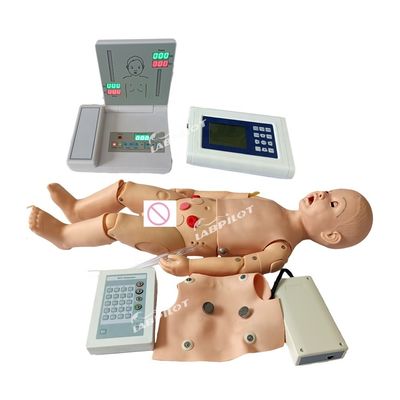 Umfassende Modelle für die Kinder- und Mutterschaftssorge für die fortgeschrittene PVC-CPR-EKG-Ausbildung