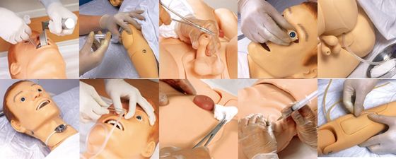 Kategorien Umfassende Pflegepraxis Multifunktionaler Simulator für männliche Patienten