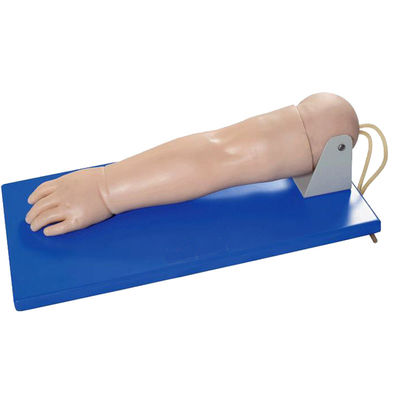 Erweiterte pädiatrische Venipuncture Arm für Patienten Pflege Demonstration menschliche Lebensgröße