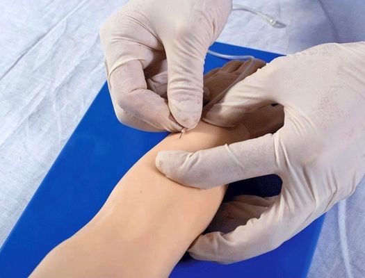 Erweiterte pädiatrische Venipuncture Arm für Patienten Pflege Demonstration menschliche Lebensgröße
