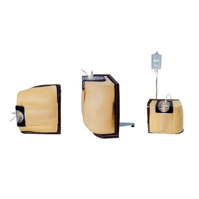 Vivid Human Torso Training und Bildung Modell Advanced PVC Spinal Puncture Simulato