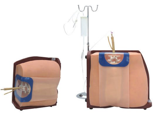 Vivid Human Torso Training und Bildung Modell Advanced PVC Spinal Puncture Simulato
