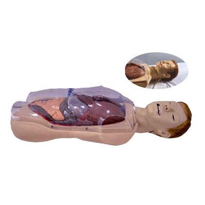 Krankenhaus Klinik Hochschule Krankenschwester Schule Menschenleben Größe Sengstaken-Blakemore NG Tube Krankenschwester Ausbildung Simulator