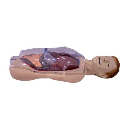 Krankenhaus Klinik Hochschule Krankenschwester Schule Menschenleben Größe Sengstaken-Blakemore NG Tube Krankenschwester Ausbildung Simulator