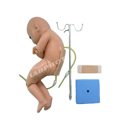 Medizinische Wissenschaft Lumbalpunktion für Säuglinge Anästhesie-Training Simulator