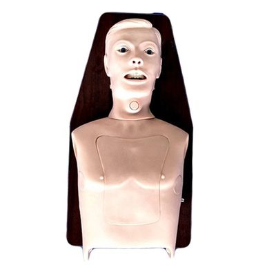 Erwachsene Intubation Trainer Top-Wahl für multifunktionale Atemwegsmanagement-Ausbildung
