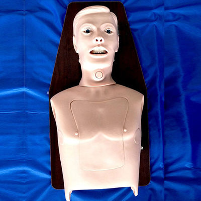 Erwachsene Intubation Trainer Top-Wahl für multifunktionale Atemwegsmanagement-Ausbildung