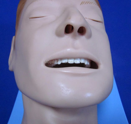 Intubations-Training-Simulator umfassendes Modell der Atemwege mit menschlicher Lebensgröße