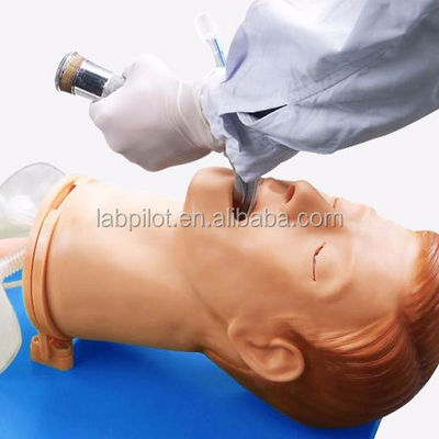 Intubations-Training-Simulator umfassendes Modell der Atemwege mit menschlicher Lebensgröße