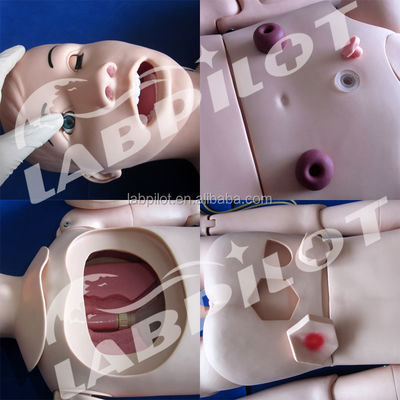 Umfassende klinische Krankenschwester Lehre Simulatoren Multifunktionale weibliche Krankenschwester Mannequin