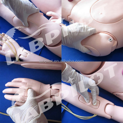 Umfassende klinische Krankenschwester Lehre Simulatoren Multifunktionale weibliche Krankenschwester Mannequin
