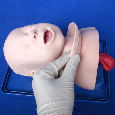 Medizinische Ausbildung Modell Neugeborene Trachea Intubation Kopf und Schultern Phantom