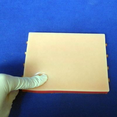 IV Injektionsschulung Demonstration Medizinischer Lehrsimulator mit einem lebhaften Hautmodell