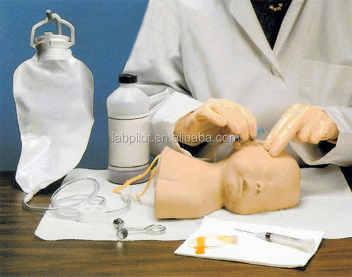 Neugeborenes Kopfhaut-Venipuncture-Training-Modell Der Vorteil des menschlichen Lebensgrößen-Designs