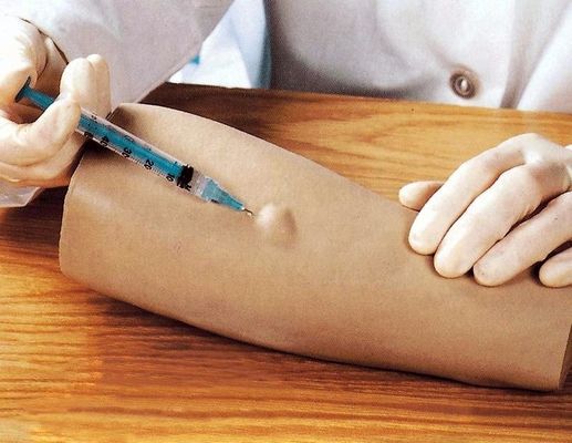 Haut-Test-Praxis-Simulator menschliche Lebensgröße Intradermale Injektion Training Armmodell