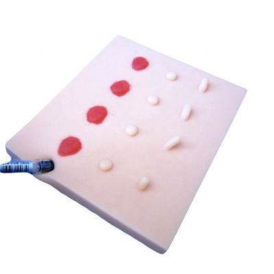 Perfektionieren Sie Ihre Patienten Pflege Demonstration mit Manikin und Hautläsionen Training Modell