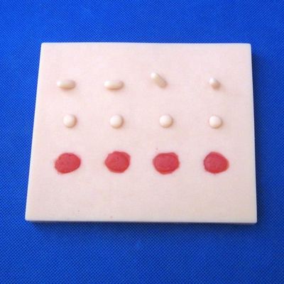 Perfektionieren Sie Ihre Patienten Pflege Demonstration mit Manikin und Hautläsionen Training Modell