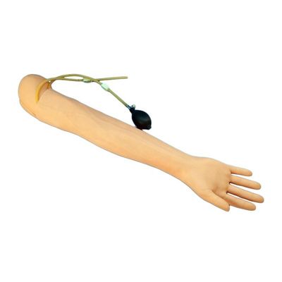 Medizinische Lehre Simulator menschliche Lebensgröße Arm für Blutentnahme und Infusionspraxis