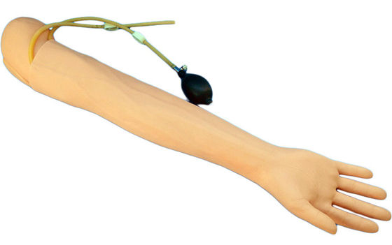 Medizinische Lehre Simulator menschliche Lebensgröße Arm für Blutentnahme und Infusionspraxis