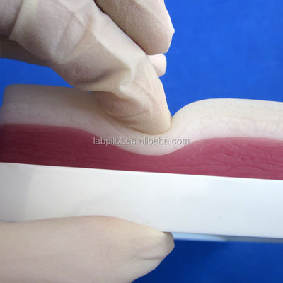 Medizinische Lehr-Simulatoren Elastische 3-Schicht Chirurgische Suring Pad für Muskeln und Haut