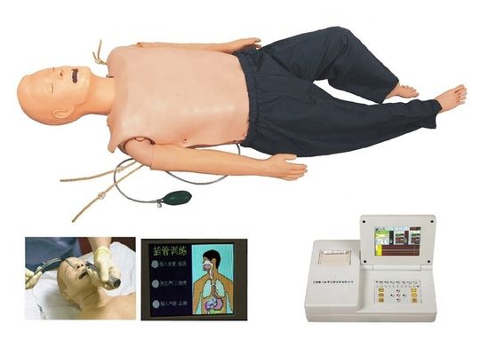 PVC-Mannequin für die medizinische Ausbildung in den Kategorien ACLS und IV-Intubationsmodell