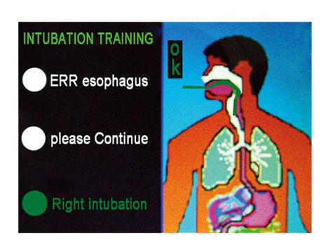 Intubationskopf für das elektronische multifunktionale Modell für das Management der Atemwege