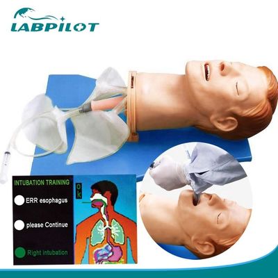Intubationskopf für das elektronische multifunktionale Modell für das Management der Atemwege