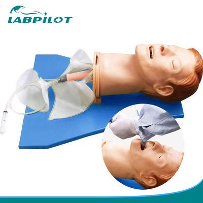 Intubationskopf für das elektronische multifunktionale Modell für das Management der Atemwege