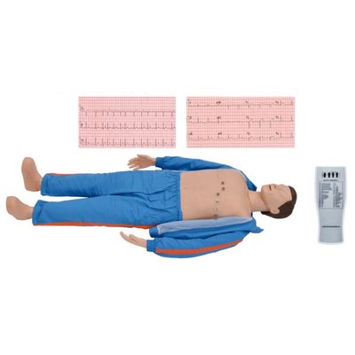 Erweiterte EKG-Ausbildung für Erwachsene Computer-Simulator für Mediziner