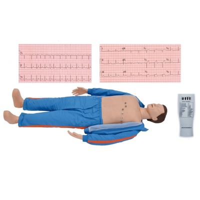 Erweiterte EKG-Ausbildung für Erwachsene Computer-Simulator für Mediziner
