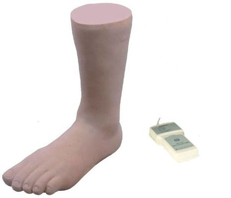Realistische menschliche Simulation Mannequin Knöchel Gelenk Injektion Training Modell mit Kontrollbox