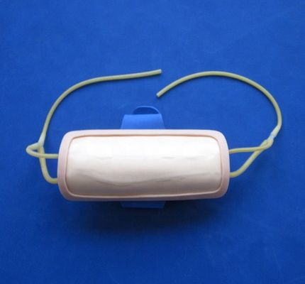 Erweiterte PVC-Vorarm-Venipuncture-Ausbildungsplattform IV Injektionsplattform für Medizinische Wissenschaft