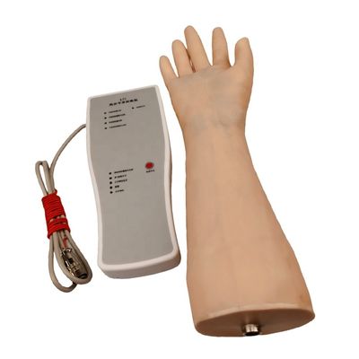 Verbessern Sie Ihre klinischen Fähigkeiten Demonstration mit elektronischem Handgelenkpunktionsmodell