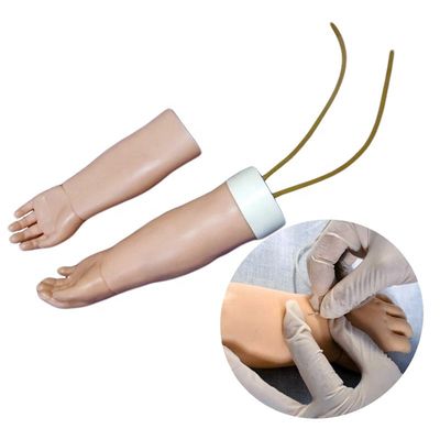 Medizinische Wissenschaft Portable Venipuncture Training Arm Modell mit austauschbarer Haut