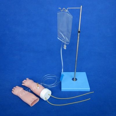 Medizinische Wissenschaft Portable Venipuncture Training Arm Modell mit austauschbarer Haut